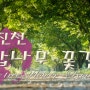 [드론영상] 진천 이팝나무 꽃 길