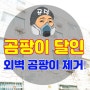 아파트 외벽 곰팡이 제거 확실하게 처리하기