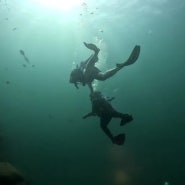 피피섬에서 인생 첫 스쿠버다이빙 후기(가격, 예약방법)
