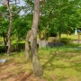 기분좋은 대전 판암 근린공원