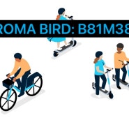 이탈리아 로마 여행 Tip, Bird 프로모코드 B81M38 이탈리아 스쿠터 타는 방법