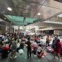 홍콩여행 마지막 (돈돈돈키, 피크트램, 홍콩야경, 별빛든든투어, 몽콕야시장, 바샤커피)