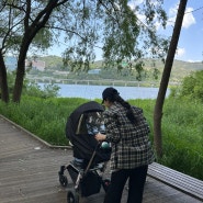 2개월 아기와 산책 : 한적하고푸릇푸릇 예쁜 암사생태공원!