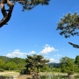 서울 근교 가볼 만한 곳 | 양평 자연정화공원 세미원, 두물머리, 배다리