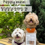 페피밀 강아지 간식 질겅질겅 소떡심 껌