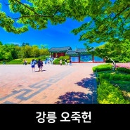 강릉 오죽헌, 강릉 아이와 가볼만한곳, 5월 강릉 여행