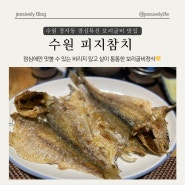 수원 정자동 맛집 피지참치 점심특선 보리굴비정식