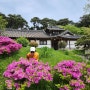 [서산]100년을 넘게 대를 이어 지켜온 한국전통가옥 유기방가옥