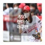 찐팬구역 SSG팬 SK팬 야구팬 연예인 / SSG 랜더스 (6)