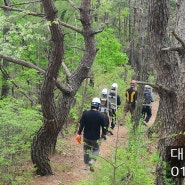 팔공산 지게곰방 대구용역 투입