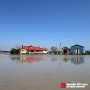 5월 가볼만한 곳 당진 우강면 반영 팽나무 모내기철 농촌 풍경 촬영명소