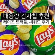 신상과자 레이즈 대용량 감자칩 추천 트러플, 씨위드 맛 후기