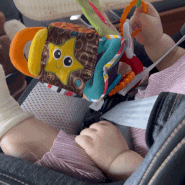 [육아템] 10개월아기 ‘라마즈 촉각주사위’ 외출필수템 고리장난감