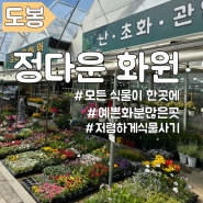 서울 화원추천 정다운화원(신선,저렴,다양 다갖춘곳)