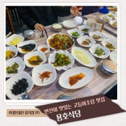 대전 홍도동 고등어조림 제육볶음 가성비 한식 반찬맛집 용호식당