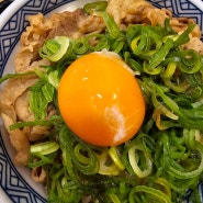 [나가사키] 후쿠오카 국민덮밥 규동 체인점, 요시노야