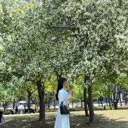 [서울 여행] 여의도 공원 나들이 + 4월 더파티움 결혼식 + 여의도 더현대 팝업 + 가볼만한 곳