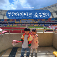 부산 아이파크 가족사랑Day 축구경기 보러 다녀온 찐 후기(6세,29개월과 함께)