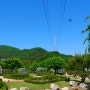 전남 장성 가볼만한곳 : 평림댐 장미공원 5월 꽃구경