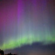 캐나다 빅토리아_집앞에서 오로라를...? 캐나다 대부분 지역에서 관측가능했던 오로라 (Aurora, Northern lights Canada)