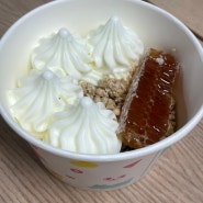 배달비 없는 두잇 무료배달 - 요거트 아이스크림의 정석 두번먹은 후기