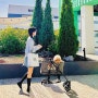 현대프리미엄아울렛 김포점 김현아 애견동반 강아지 개모차,유모차 대여 방법 / 펫파크 후기