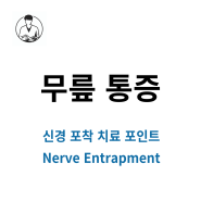 무릎 통증 / 신경 포착 (nerve entrapment) 약침 치료 핵심 포인트