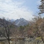 국립공원 설악산, 지장율사의 신흥사