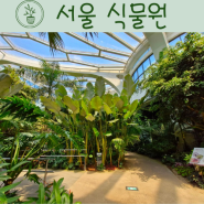 마곡 서울식물원 다양한 식물을 만나 볼 수 있는 온실 식물원 데이트