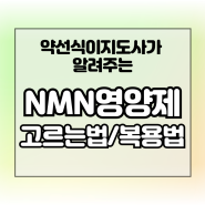 NMN 영양제 고르는법 복용법 및 추천 제품 (NR 포함)