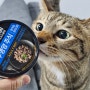 AAFCO 동원뉴트리플랜 유리너리캔사료 고양이습식사료추천