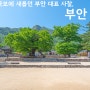 부안 가볼만한곳 변산반도 국립공원 내소사 부처님오신날 유명한 절