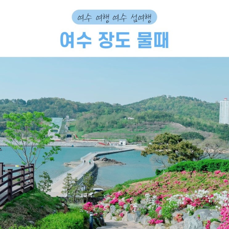 여수 장도 물때 전라도 여수 섬 여행 코스 : 네이버 블로그