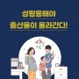 "충북 성평등 기반 저출산 극복을 위한 사례 검토와 과제" 카드뉴스