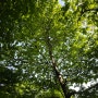 24년 주간일기 (05.06~05.12) 초록초록한 봄날의 기록