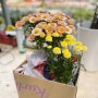 [선유 플라워 그라운드] 인천꽃도매 인천꽃쇼핑 인천화훼단지 인천꽃선물 집들이선물