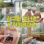[일본:도쿄] 오모테산도 카페, 히구마 도너츠 x 커피 라이츠♥