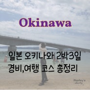일본 오키나와 여행 :: 2박3일 부모님과 함께 패키지 코스, 경비, 비용,가볼만한곳 맛집 추천 총 정리