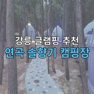강릉 연곡 솔향기 캠핑장 글램핑 후기