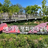 김포가볼만한곳 애기봉평화생태공원 이북 전망대