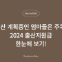 2024년 출산지원금 정책 한눈에 보기