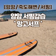 [양양/죽도해변/서핑] 전문적인 양양 서핑 강습 추천 ‘ 망고 서프’