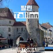 에스토니아 여행 #2-1 (탈린) 타르투에서 탈린, 비루게이트, 시청 광장, 탈린 올드타운