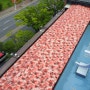 식당 칼라강판 지붕공사 완벽한 방수장점