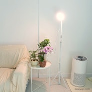 마녀박스 식물등 스탠드 햇빛등 24W LED 200개 광량 충분