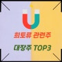 희토류 관련주 대장주 TOP3