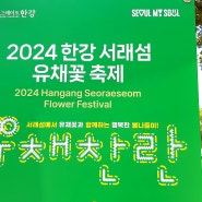 2024 한강 서래섬 유채꽃축제