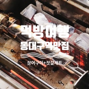 동대구역 맛집 보신각 장어구이 먹방 후기