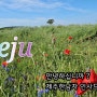 Jeju 날씨 자전거라이딩/바다풍경