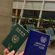 긴급여권 급행여권 알아보고 있다면 서대문 구청 여권 3일 만에 발급받은 후기